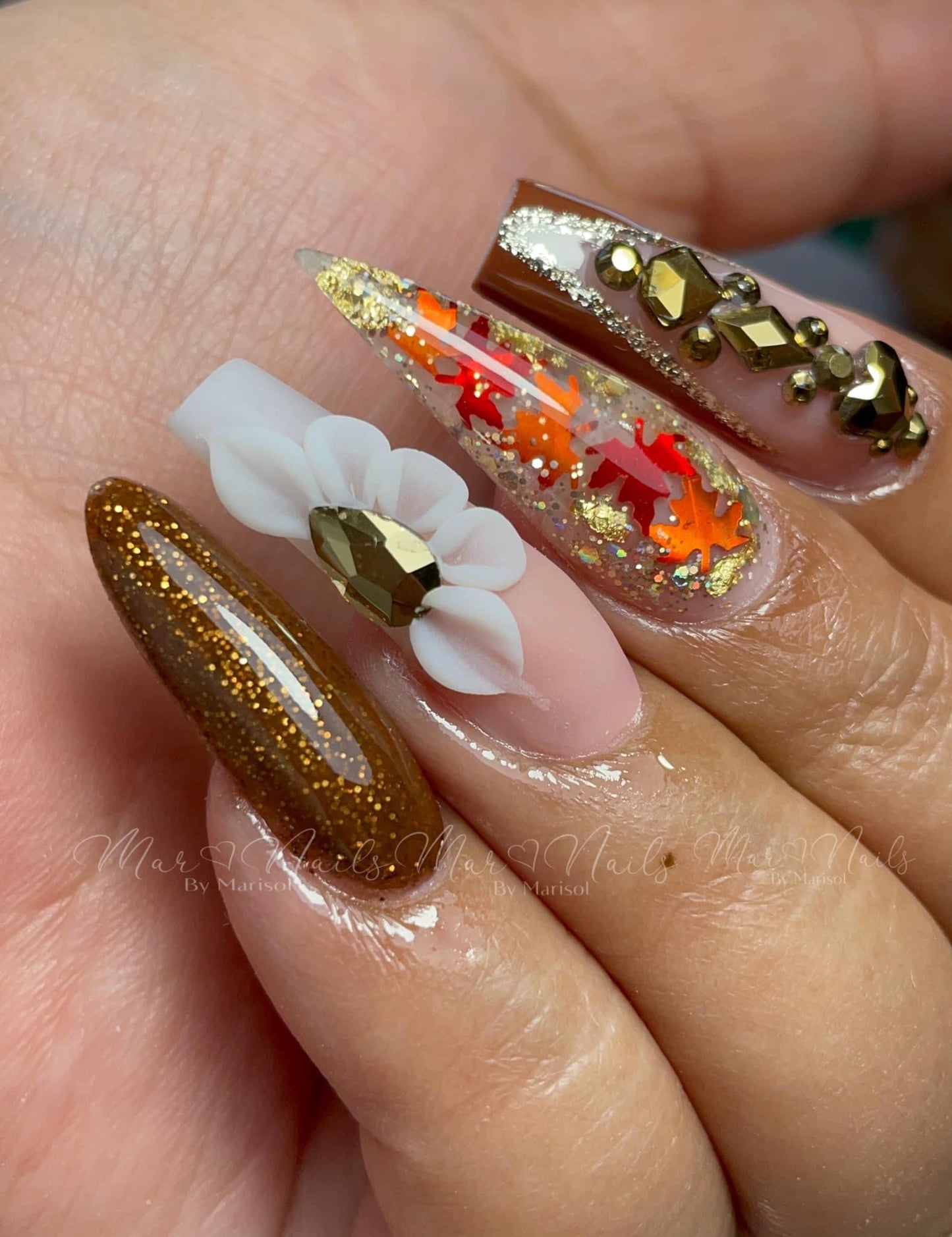 Latinas Nail Studio Autumn 6pz Collection image 8