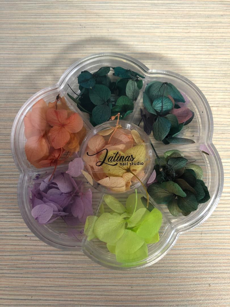 Latinas Nail Studio Dried Flowers Deco image 0