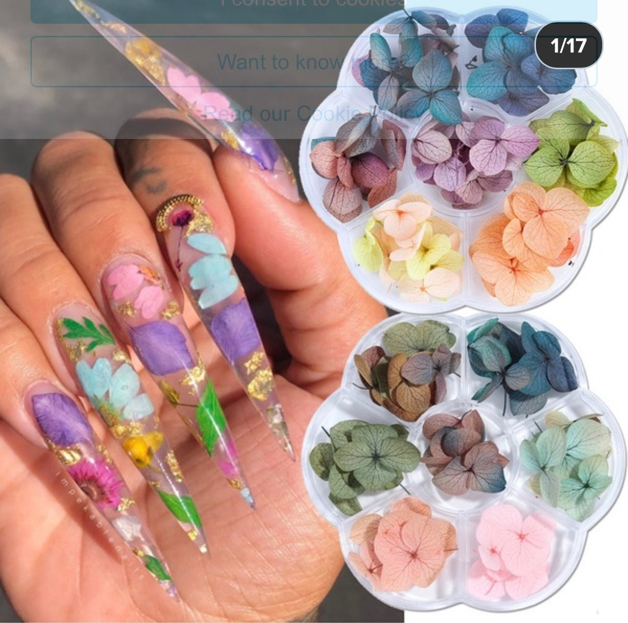Latinas Nail Studio Dried Flowers Deco image 1