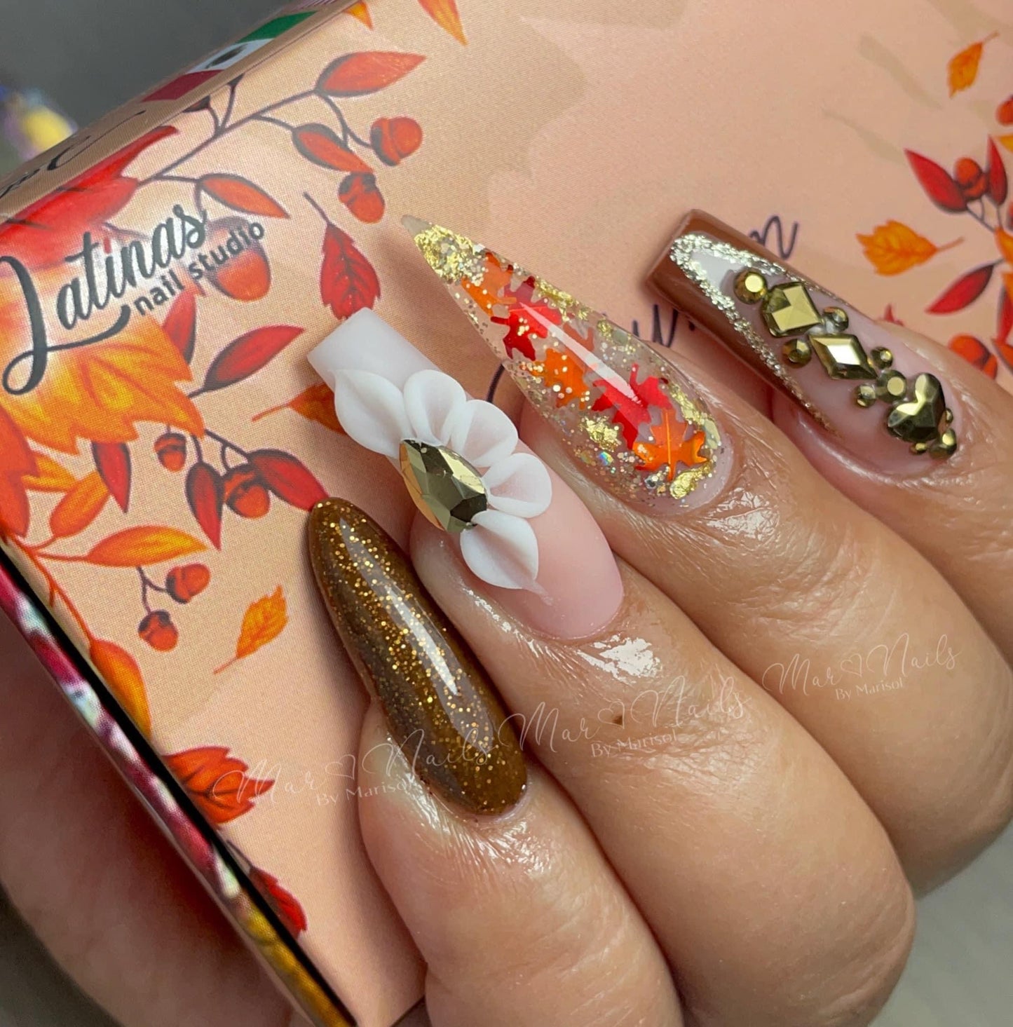 Latinas Nail Studio Autumn 6pz Collection image 9