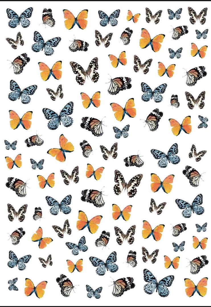 Nail Stickers-Butterfly image 0