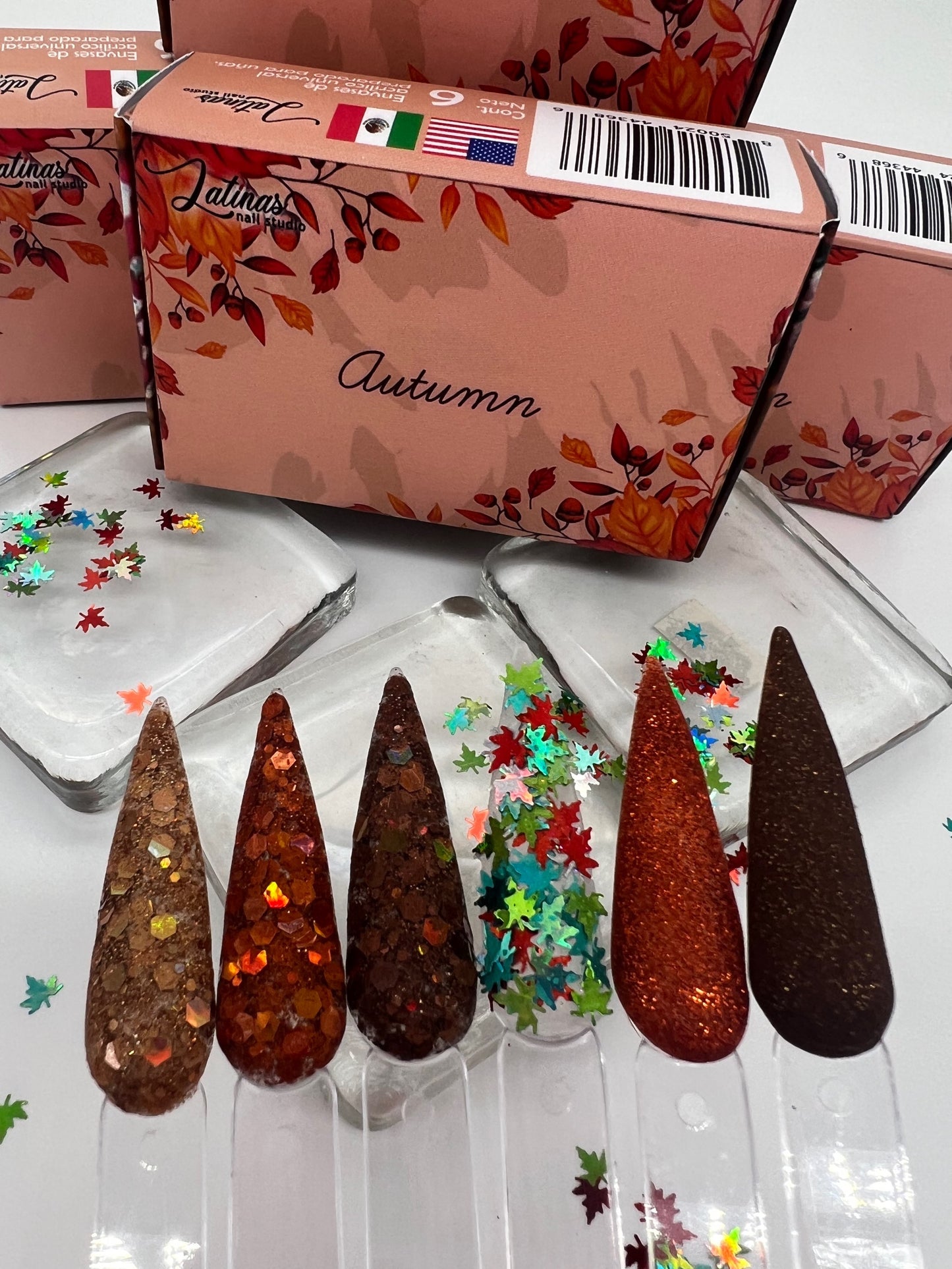 Latinas Nail Studio Autumn 6pz Collection image 2