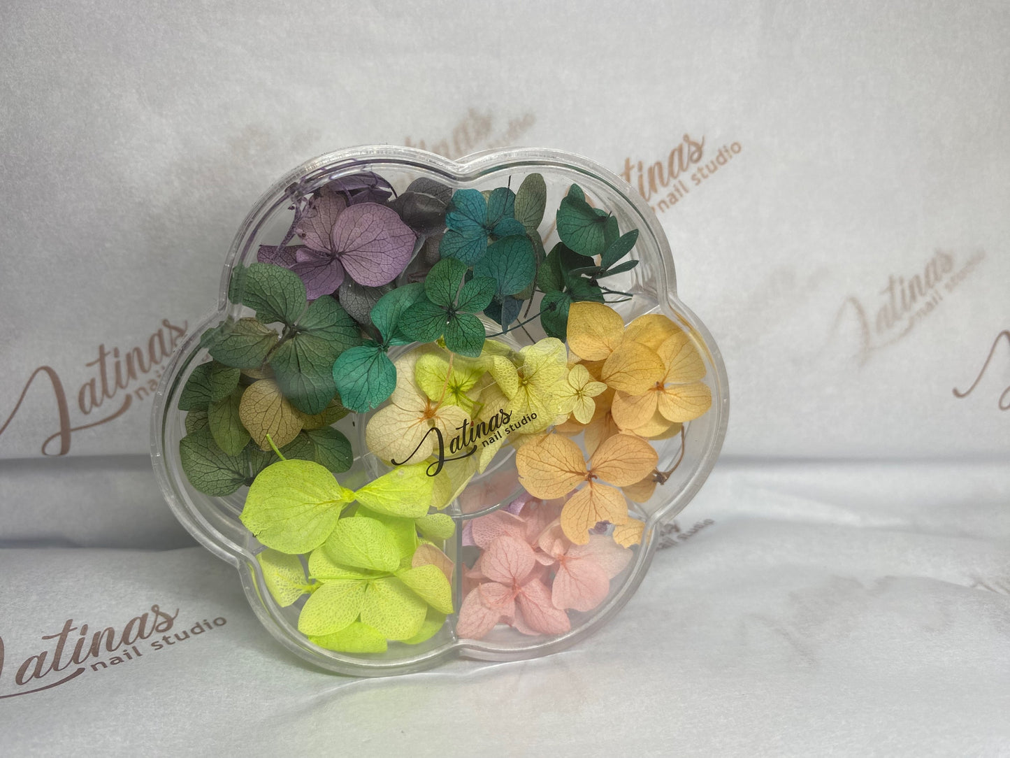 Naturaleza Muerta Natural Dried Flowers image 2