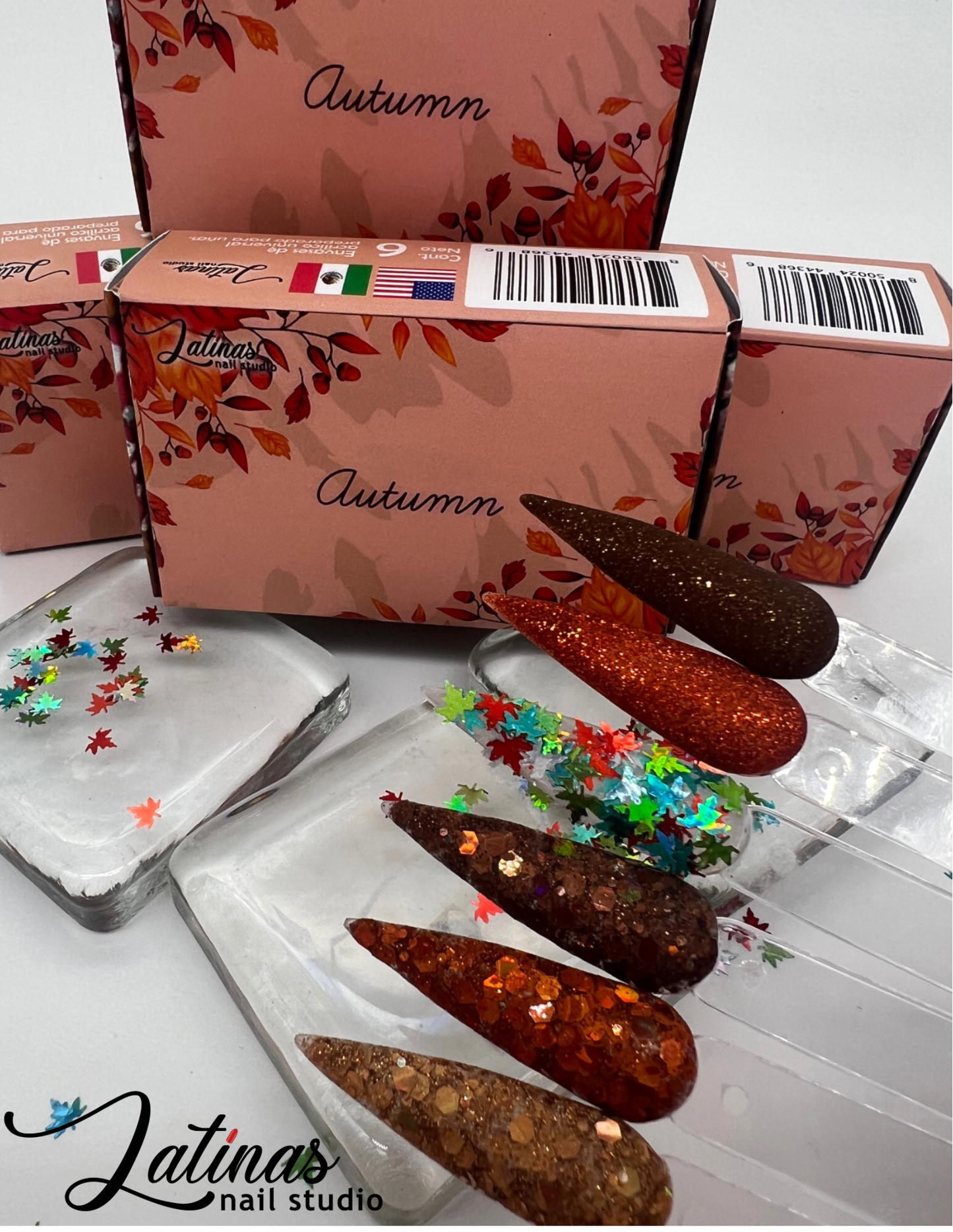 Latinas Nail Studio Autumn 6pz Collection image 0