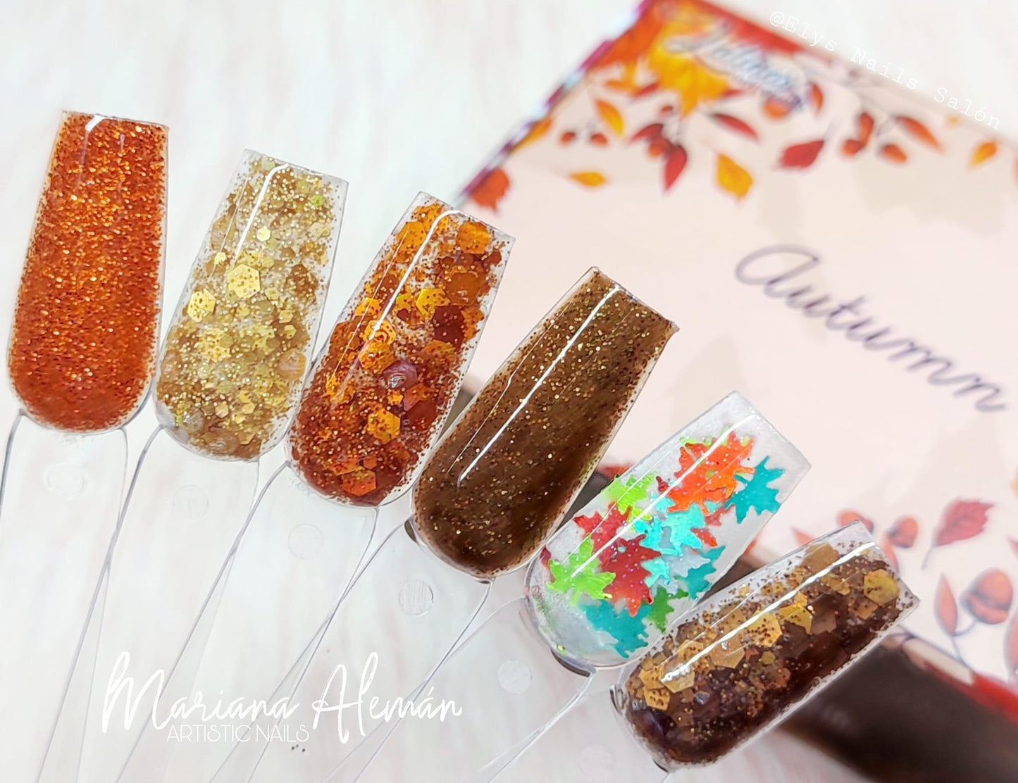 Latinas Nail Studio Autumn 6pz Collection image 5