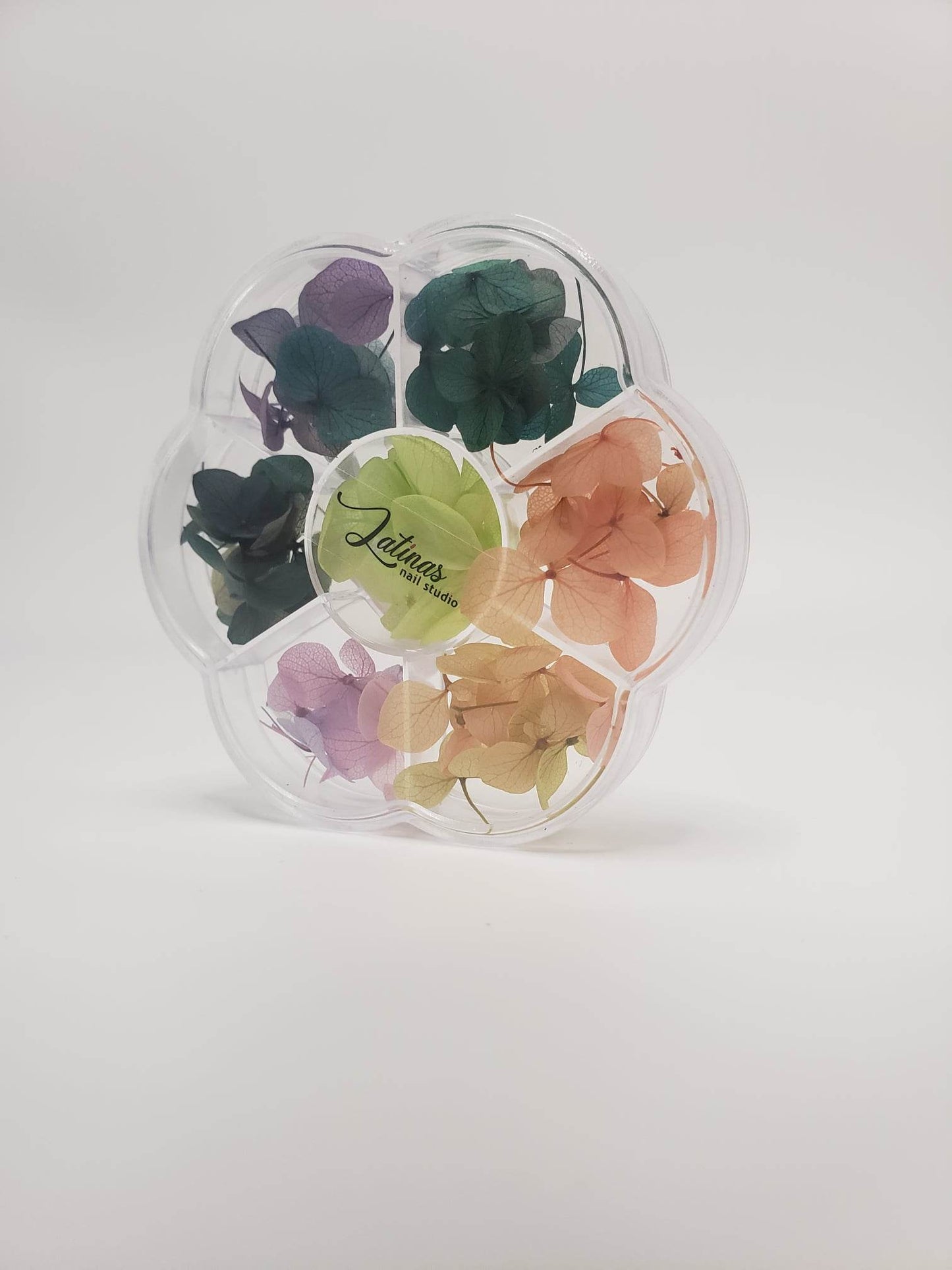 Naturaleza Muerta Natural Dried Flowers image 0